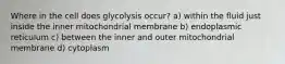 Where in the cell does glycolysis occur? a) within the fluid just inside the inner mitochondrial membrane b) endoplasmic reticulum c) between the inner and outer mitochondrial membrane d) cytoplasm