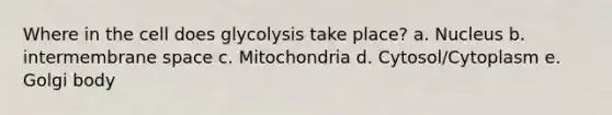 Where in the cell does glycolysis take place? a. Nucleus b. intermembrane space c. Mitochondria d. Cytosol/Cytoplasm e. Golgi body