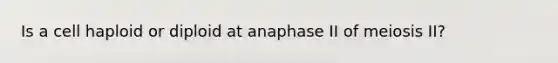 Is a cell haploid or diploid at anaphase II of meiosis II?