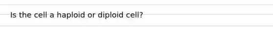 Is the cell a haploid or diploid cell?