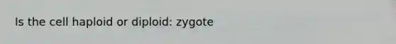 Is the cell haploid or diploid: zygote