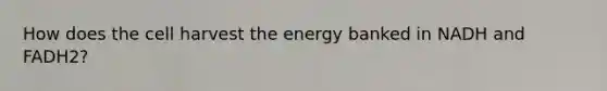 How does the cell harvest the energy banked in NADH and FADH2?