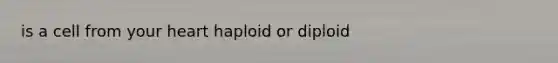 is a cell from your heart haploid or diploid