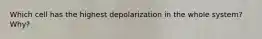 Which cell has the highest depolarization in the whole system? Why?