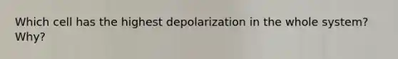 Which cell has the highest depolarization in the whole system? Why?