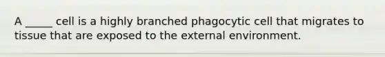 A _____ cell is a highly branched phagocytic cell that migrates to tissue that are exposed to the external environment.