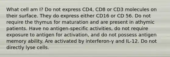 What cell am I? Do not express CD4, CD8 or CD3 molecules on their surface. They do express either CD16 or CD 56. Do not require the thymus for maturation and are present in athymic patients. Have no antigen-specific activities, do not require exposure to antigen for activation, and do not possess antigen memory ability. Are activated by interferon-γ and IL-12. Do not directly lyse cells.