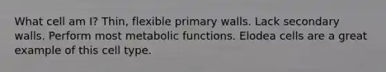 What cell am I? Thin, flexible primary walls. Lack secondary walls. Perform most metabolic functions. Elodea cells are a great example of this cell type.