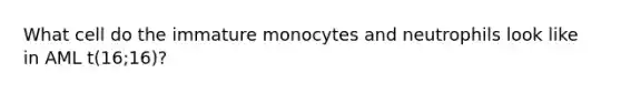 What cell do the immature monocytes and neutrophils look like in AML t(16;16)?