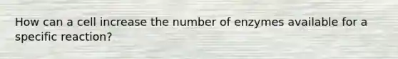 How can a cell increase the number of enzymes available for a specific reaction?