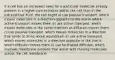 If a cell has an increased need for a particular molecule already present in a higher concentration within the cell than in the extracellular fluid, the cell might a) use passive transport, which moves molecules in a direction opposite to the one in which active transport moves them b) use active transport, which moves molecules in the same direction as diffusion moves them c) use passive transport, which moves molecules in a direction that tends to bring about equilibrium d) use active transport, which moves molecules in a direction opposite to the one in which diffusion moves them e) use facilitated diffusion, which involves membrane proteins that assist with moving molecules across the cell membrane.