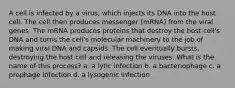 A cell is infected by a virus, which injects its DNA into the host cell. The cell then produces messenger (mRNA) from the viral genes. The mRNA produces proteins that destroy the host cell's DNA and turns the cell's molecular machinery to the job of making viral DNA and capsids. The cell eventually bursts, destroying the host cell and releasing the viruses. What is the name of this process? a. a lytic infection b. a bacteriophage c. a prophage infection d. a lysogenic infection