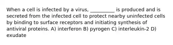 When a cell is infected by a virus, __________ is produced and is secreted from the infected cell to protect nearby uninfected cells by binding to surface receptors and initiating synthesis of antiviral proteins. A) interferon B) pyrogen C) interleukin-2 D) exudate