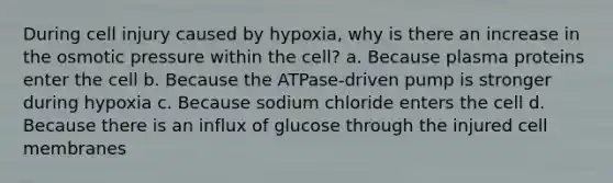 During cell injury caused by hypoxia, why is there an increase in the osmotic pressure within the cell? a. Because plasma proteins enter the cell b. Because the ATPase-driven pump is stronger during hypoxia c. Because sodium chloride enters the cell d. Because there is an influx of glucose through the injured cell membranes