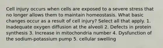 Cell injury occurs when cells are exposed to a severe stress that no longer allows them to maintain homeostasis. What basic changes occur as a result of cell injury? Select all that apply. 1. Inadequate oxygen diffusion at the alveoli 2. Defects in protein synthesis 3. Increase in mitochondria number 4. Dysfunction of the sodium-potassium pump 5. cellular swelling