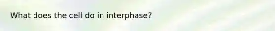 What does the cell do in interphase?