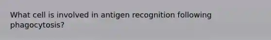 What cell is involved in antigen recognition following phagocytosis?