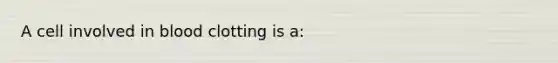 A cell involved in blood clotting is a: