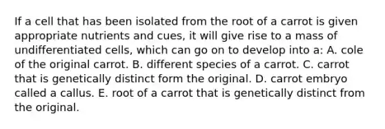 If a cell that has been isolated from the root of a carrot is given appropriate nutrients and cues, it will give rise to a mass of undifferentiated cells, which can go on to develop into a: A. cole of the original carrot. B. different species of a carrot. C. carrot that is genetically distinct form the original. D. carrot embryo called a callus. E. root of a carrot that is genetically distinct from the original.