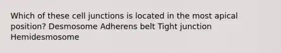 Which of these cell junctions is located in the most apical position? Desmosome Adherens belt Tight junction Hemidesmosome