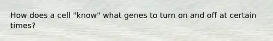 How does a cell "know" what genes to turn on and off at certain times?