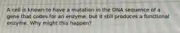 A cell is known to have a mutation in the DNA sequence of a gene that codes for an enzyme, but it still produces a functional enzyme. Why might this happen?