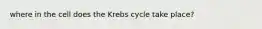 where in the cell does the Krebs cycle take place?