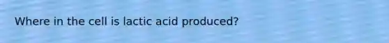 Where in the cell is lactic acid produced?