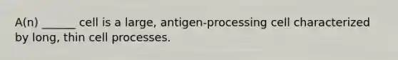 A(n) ______ cell is a large, antigen-processing cell characterized by long, thin cell processes.