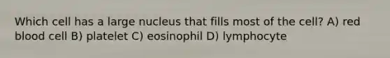 Which cell has a large nucleus that fills most of the cell? A) red blood cell B) platelet C) eosinophil D) lymphocyte