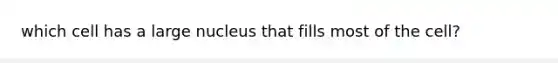 which cell has a large nucleus that fills most of the cell?