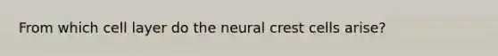 From which cell layer do the neural crest cells arise?