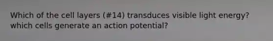 Which of the cell layers (#14) transduces visible light energy? which cells generate an action potential?