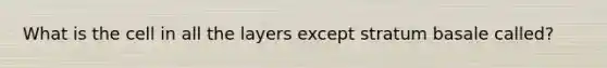 What is the cell in all the layers except stratum basale called?