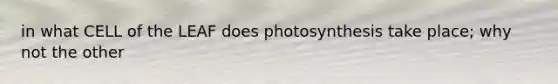 in what CELL of the LEAF does photosynthesis take place; why not the other