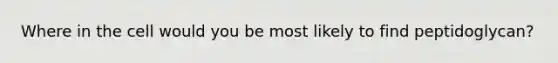 Where in the cell would you be most likely to find peptidoglycan?