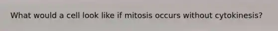 What would a cell look like if mitosis occurs without cytokinesis?