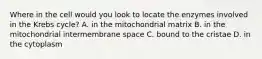 Where in the cell would you look to locate the enzymes involved in the Krebs cycle? A. in the mitochondrial matrix B. in the mitochondrial intermembrane space C. bound to the cristae D. in the cytoplasm