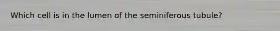 Which cell is in the lumen of the seminiferous tubule?