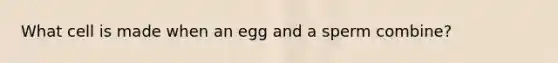 What cell is made when an egg and a sperm combine?