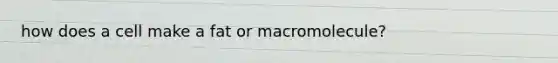 how does a cell make a fat or macromolecule?