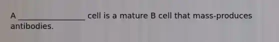 A _________________ cell is a mature B cell that mass-produces antibodies.