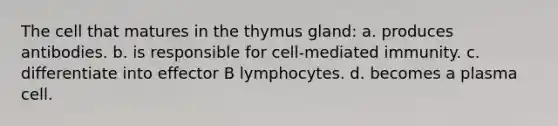 The cell that matures in the thymus gland: a. produces antibodies. b. is responsible for cell-mediated immunity. c. differentiate into effector B lymphocytes. d. becomes a plasma cell.