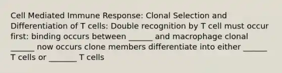 Cell Mediated Immune Response: Clonal Selection and Differentiation of T cells: Double recognition by T cell must occur first: binding occurs between ______ and macrophage clonal ______ now occurs clone members differentiate into either ______ T cells or _______ T cells