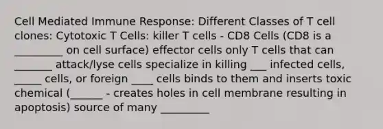 Cell Mediated Immune Response: Different Classes of T cell clones: Cytotoxic T Cells: killer T cells - CD8 Cells (CD8 is a _________ on cell surface) effector cells only T cells that can _______ attack/lyse cells specialize in killing ___ infected cells, _____ cells, or foreign ____ cells binds to them and inserts toxic chemical (______ - creates holes in cell membrane resulting in apoptosis) source of many _________