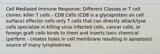 Cell Mediated Immune Response: Different Classes or T cell clones: killer T cells - CD8 Cells (CD8 is a glycoprotein on cell surface) effector cells only T cells that can directly attack/lyse cells specialize in killing virus infected cells, cancer cells, or foreign graft cells binds to them and inserts toxic chemical (perforin - creates holes in cell membrane resulting in apoptosis) source of many lymphokines