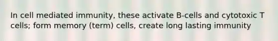 In cell mediated immunity, these activate B-cells and cytotoxic T cells; form memory (term) cells, create long lasting immunity