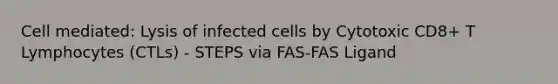 Cell mediated: Lysis of infected cells by Cytotoxic CD8+ T Lymphocytes (CTLs) - STEPS via FAS-FAS Ligand