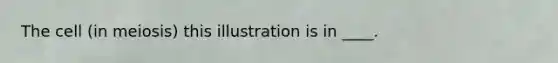 The cell (in meiosis) this illustration is in ____.