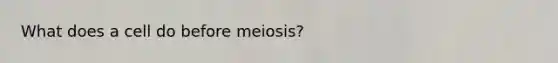 What does a cell do before meiosis?